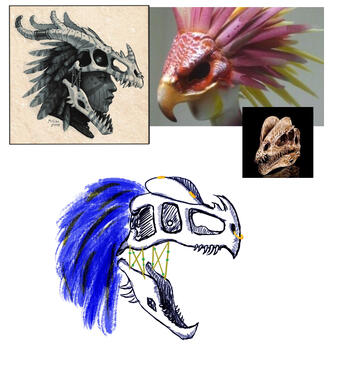 Headdress design
