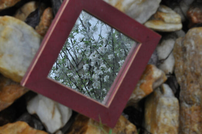 Untitled Untitled