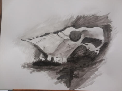 Ink wash cow skull